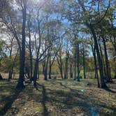 Review photo of Bells Bend Park by Krista A., April 3, 2022