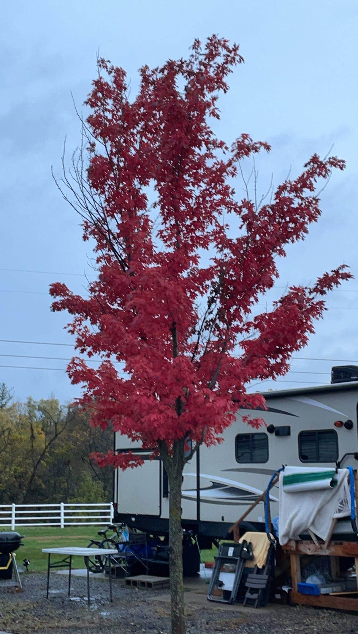 Anthony  W.'s photo of rv camping at Griffs Valley View RV Park near Saylorville Lake