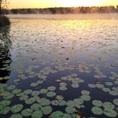 Review photo of Lake Louisa State Park Campground by Kathie E., April 3, 2022