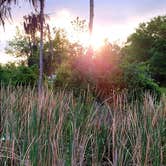 Review photo of Lake Louisa State Park Campground by Kathie E., April 3, 2022