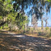 Review photo of Lake Louisa State Park Campground by Kathie E., April 3, 2022