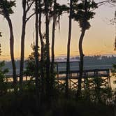 Review photo of Lake Louisa State Park Campground by Kathie E., April 3, 2022