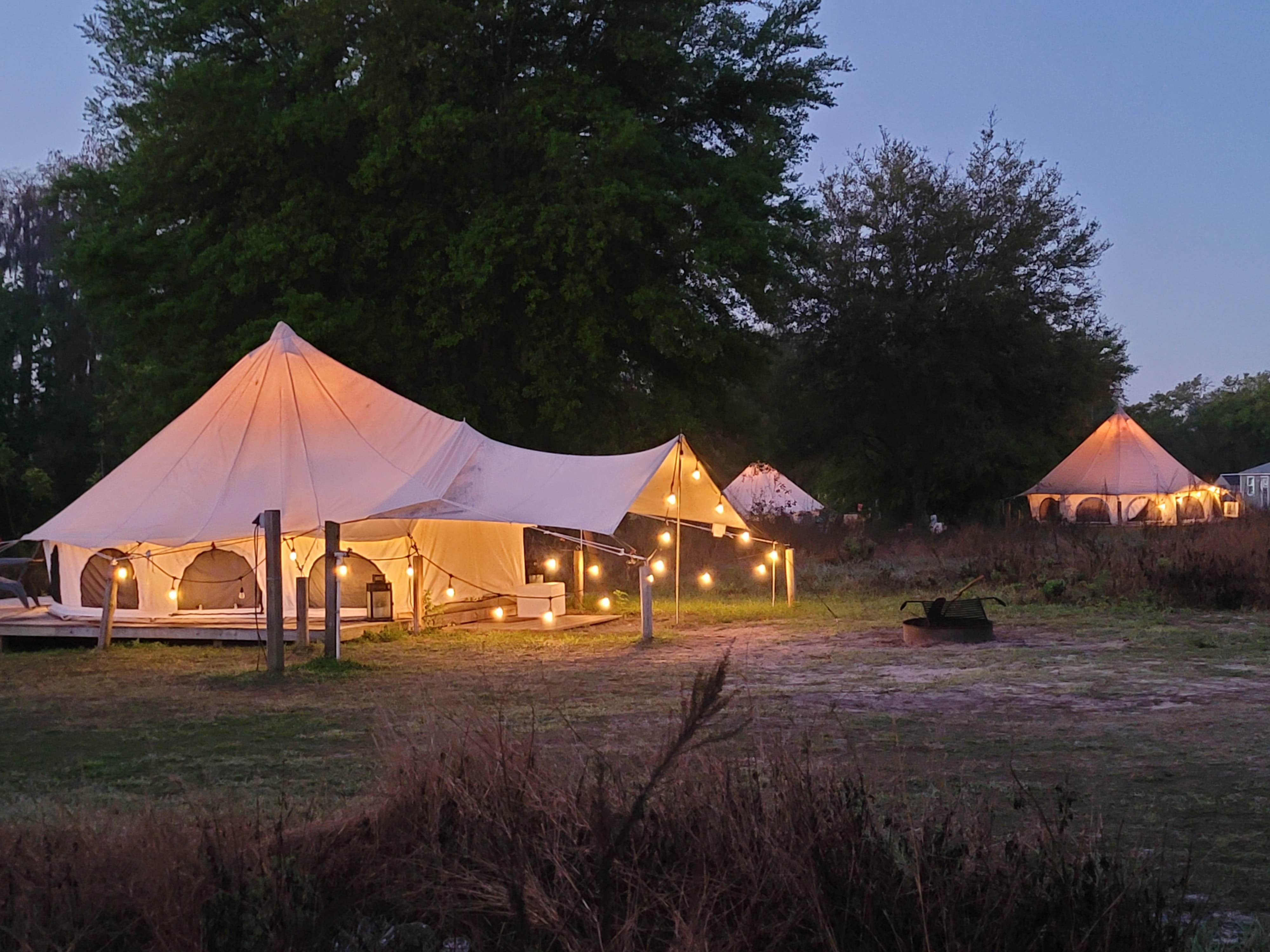 Kathie E.'s photo at Lake Louisa State Park Campground near Clermont, FL
