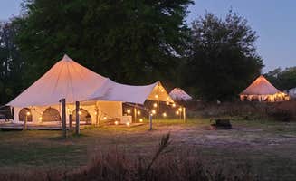 Kathie E.'s photo at Lake Louisa State Park Campground near Groveland, FL