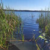 Review photo of Lake Louisa State Park Campground by Kathie E., April 3, 2022