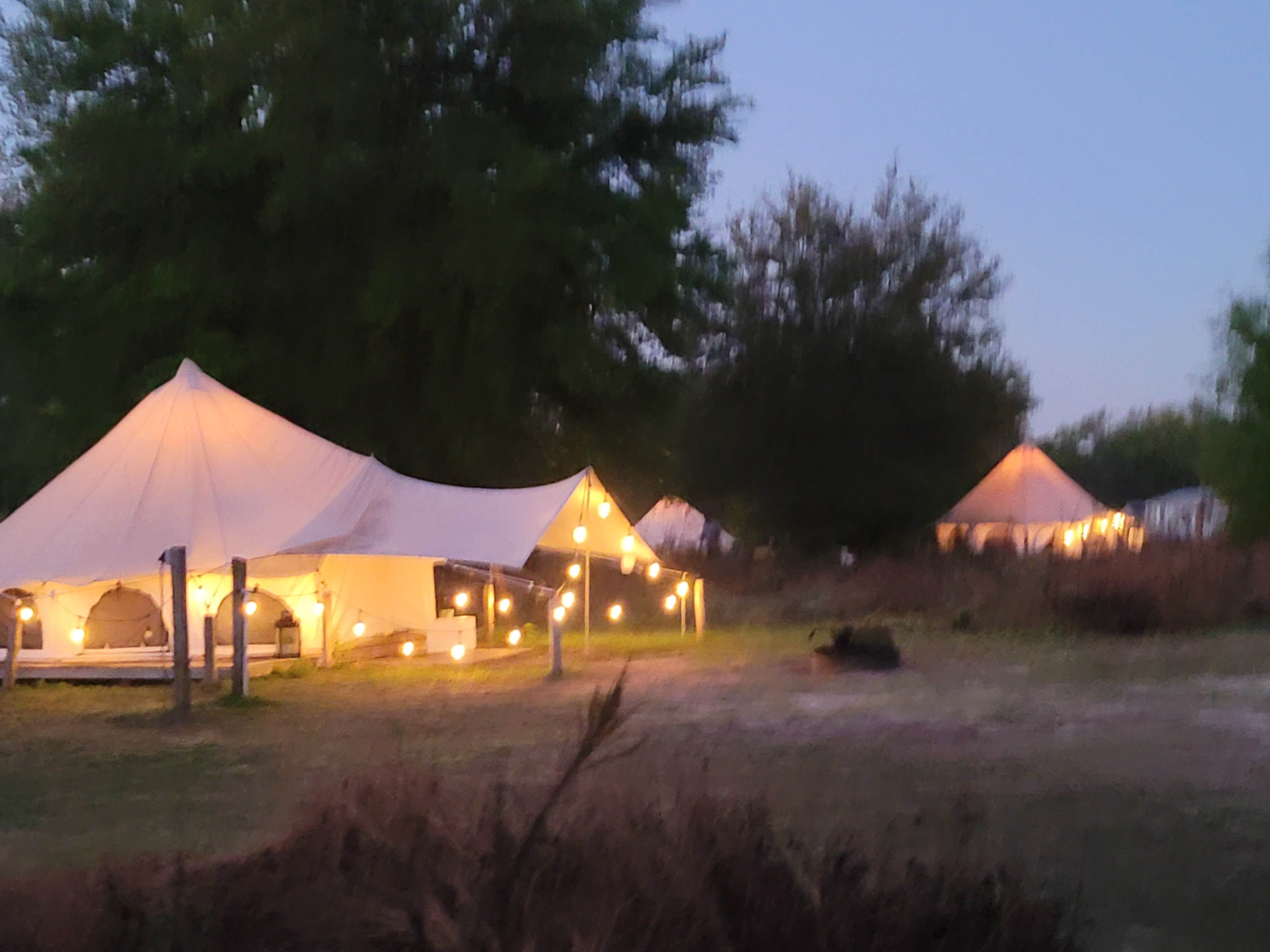 Kathie E.'s photo at Lake Louisa State Park Campground near Lake Alfred, FL
