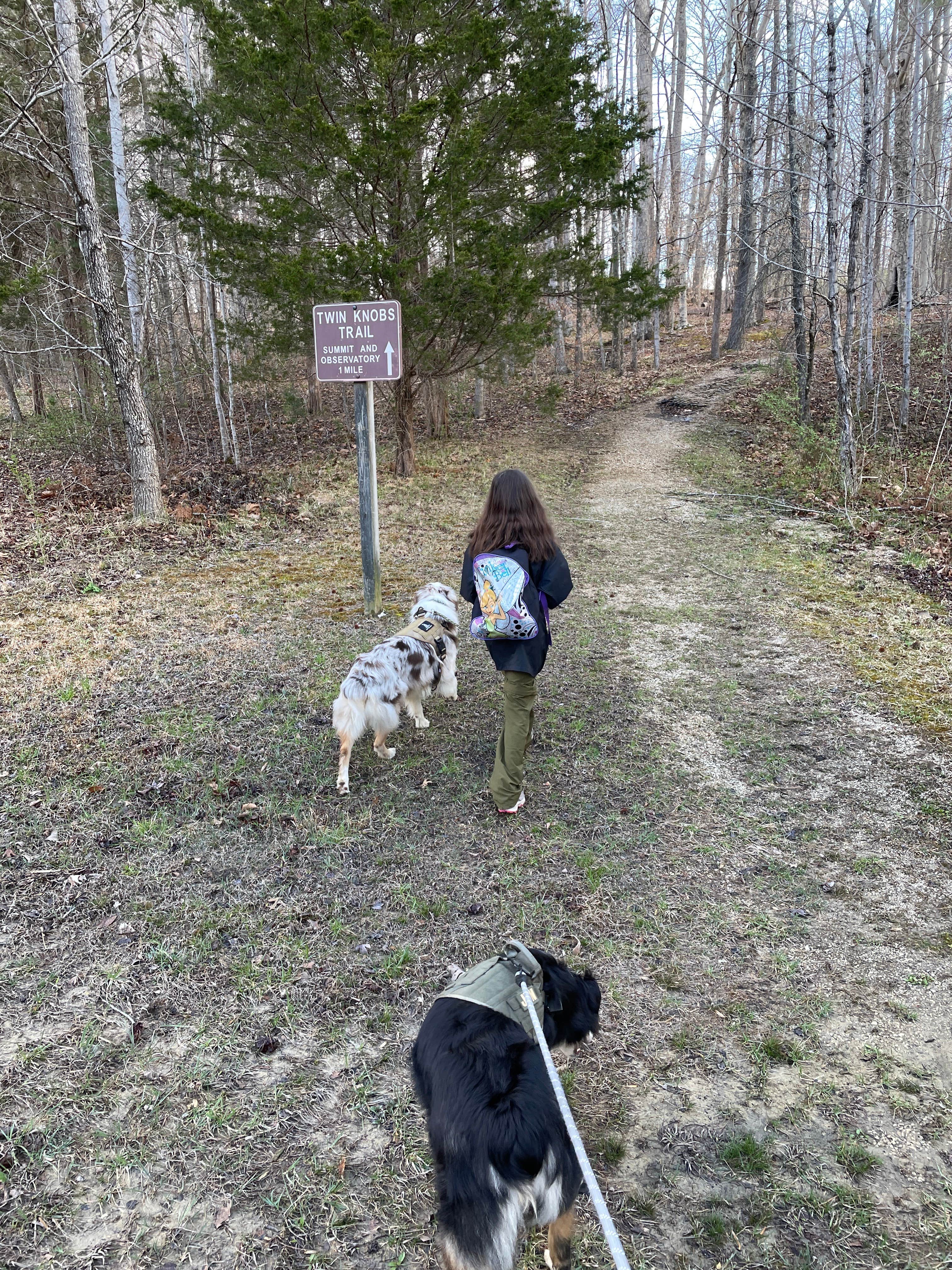 Brian N.'s photo of camping with pets at Twin Knobs Recreation Area near Slade, KY