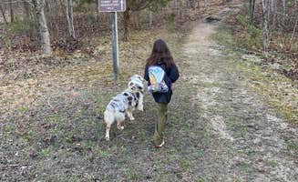 Brian N.'s photo of camping with pets at Twin Knobs Recreation Area near Slade, KY