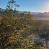 Review photo of Blair Valley Primitive Campground — Anza-Borrego Desert State Park by Cam  C., April 3, 2022