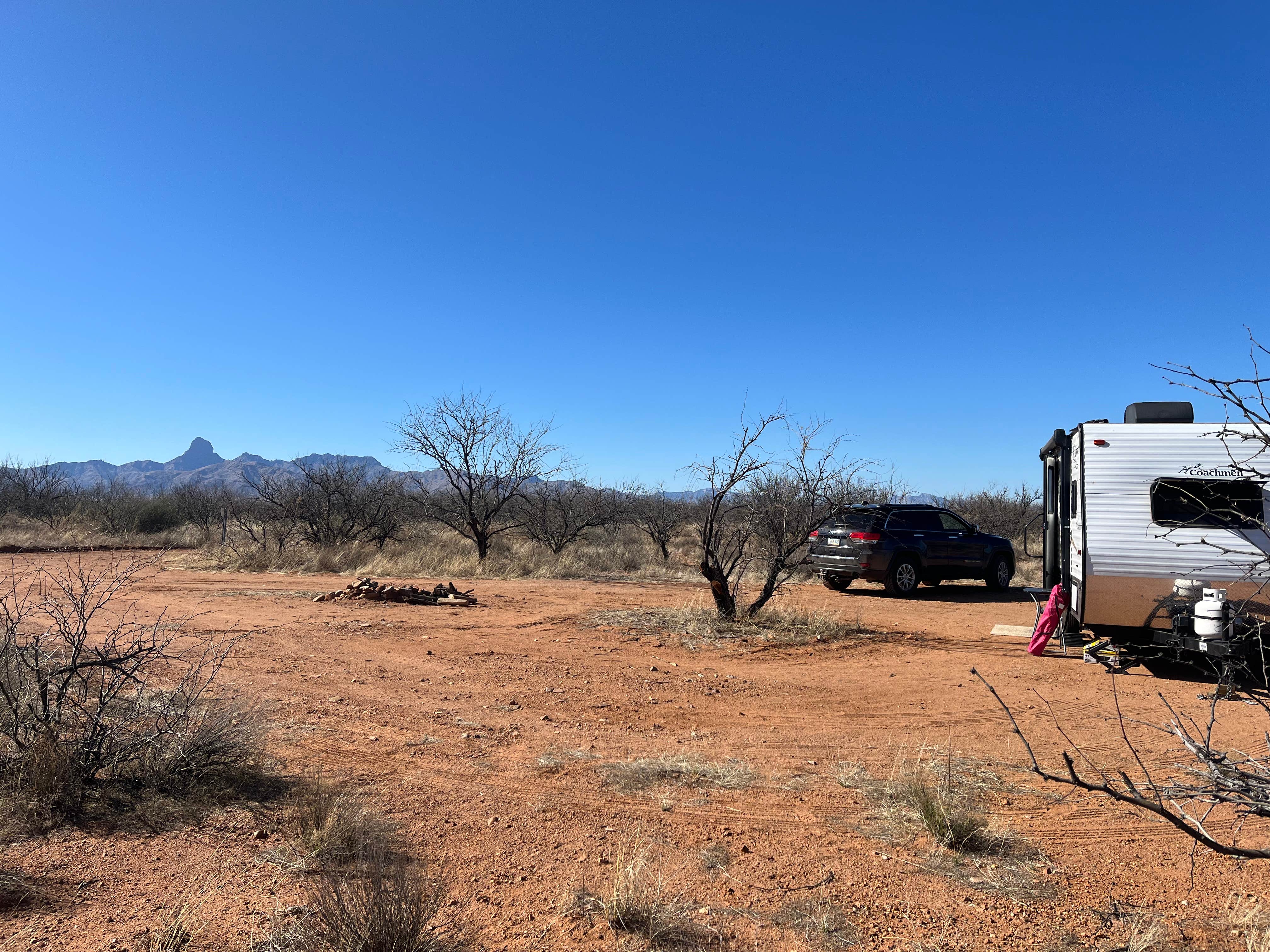 Camper submitted image from Bueno Aires National Wildlife Refuge - 1