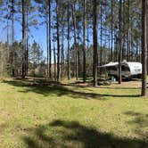 Review photo of Little Tallapoosa Park by Hollis K., April 3, 2022