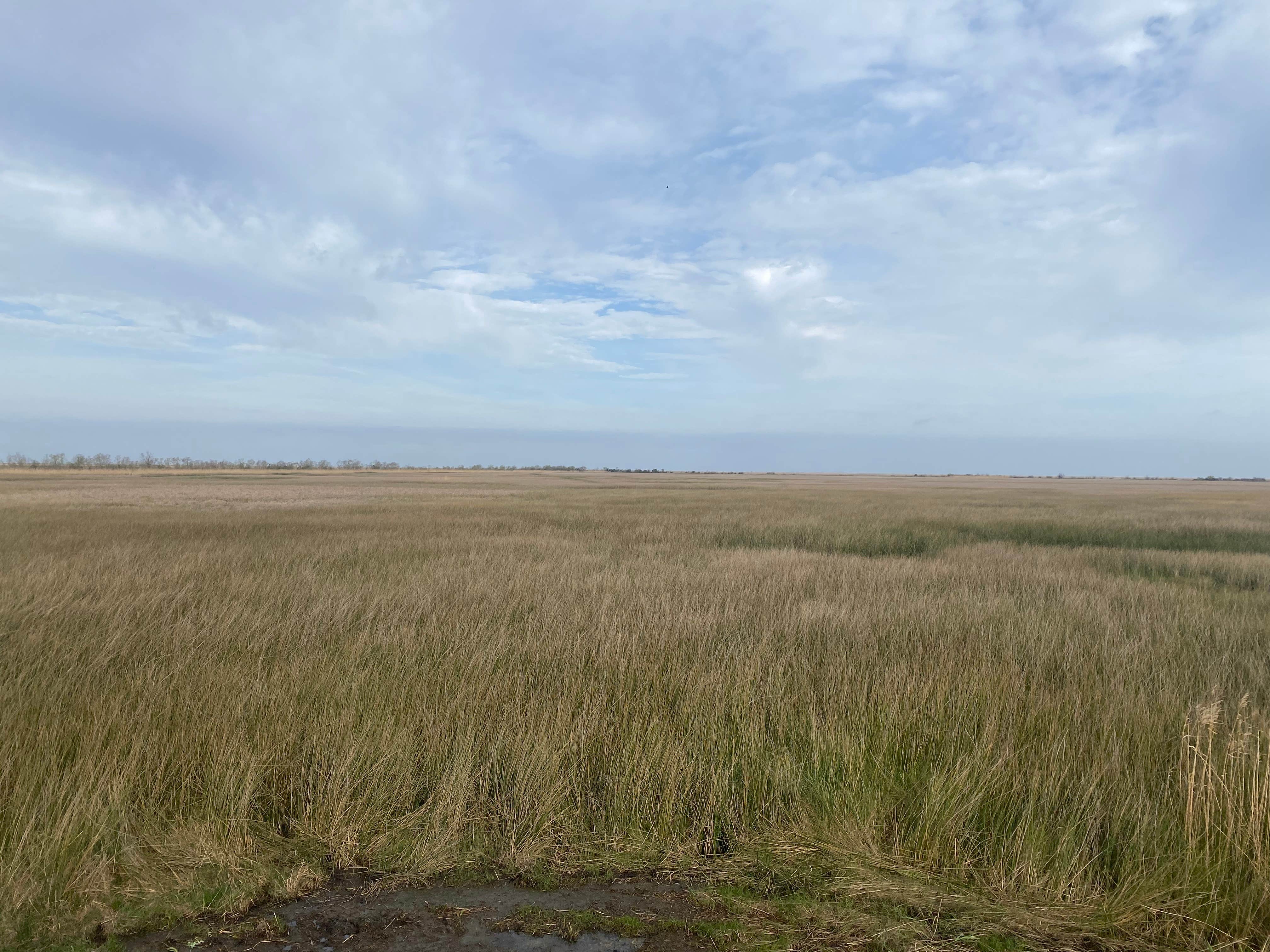 Camper-submitted photo at Mae's Beach near Cameron, LA