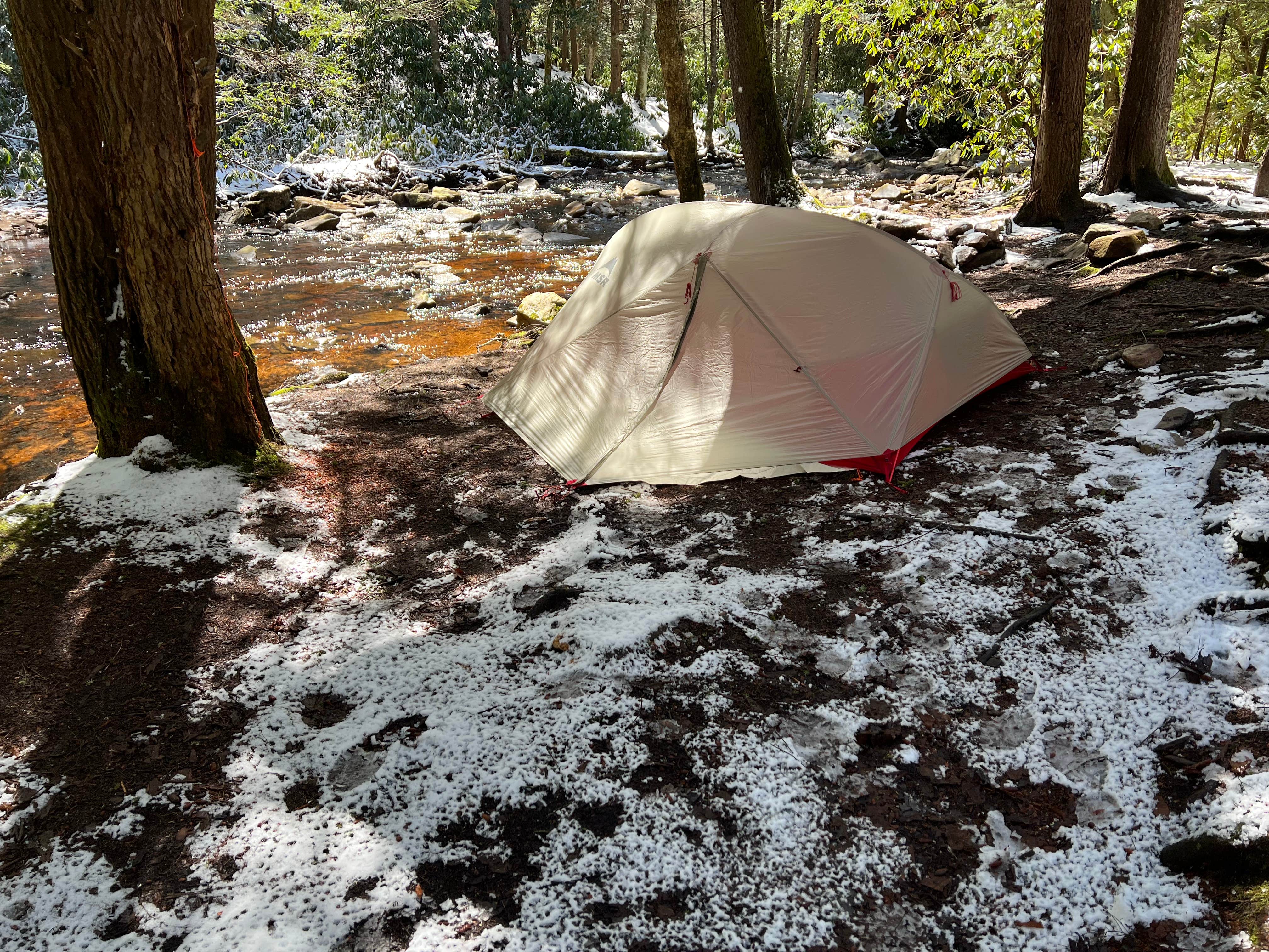 Camper-submitted photo at Canaan Loop Road Dispersed near Masontown, WV