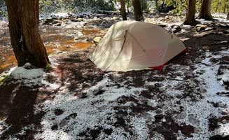 Jacob's photo at Canaan Loop Road Dispersed near Thomas, WV