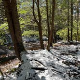 Review photo of Canaan Loop Road Dispersed by Jacob , April 3, 2022