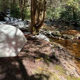 Review photo of Canaan Loop Road Dispersed by Jacob , April 3, 2022