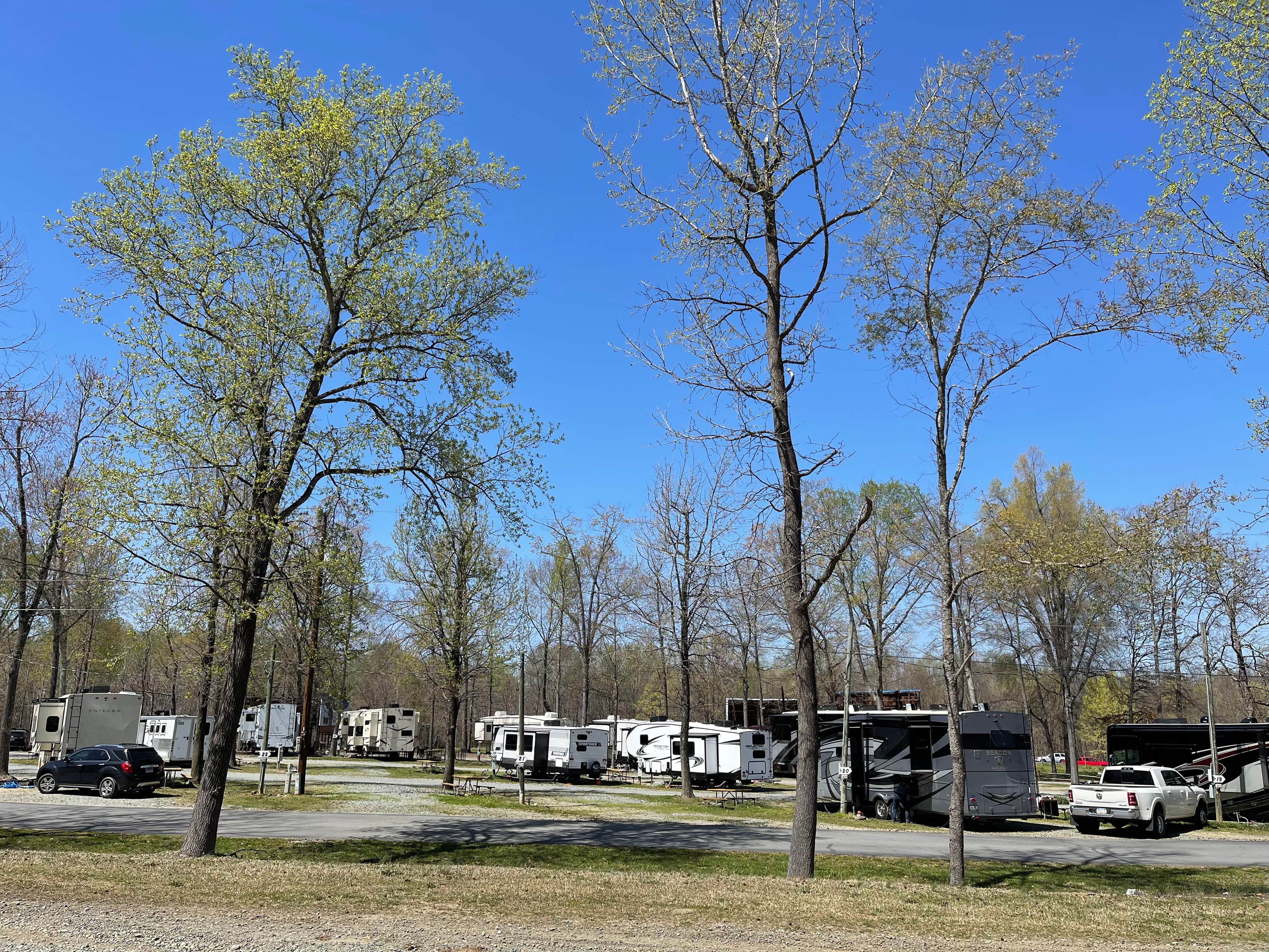 Camper submitted image from Greensboro KOA - 4