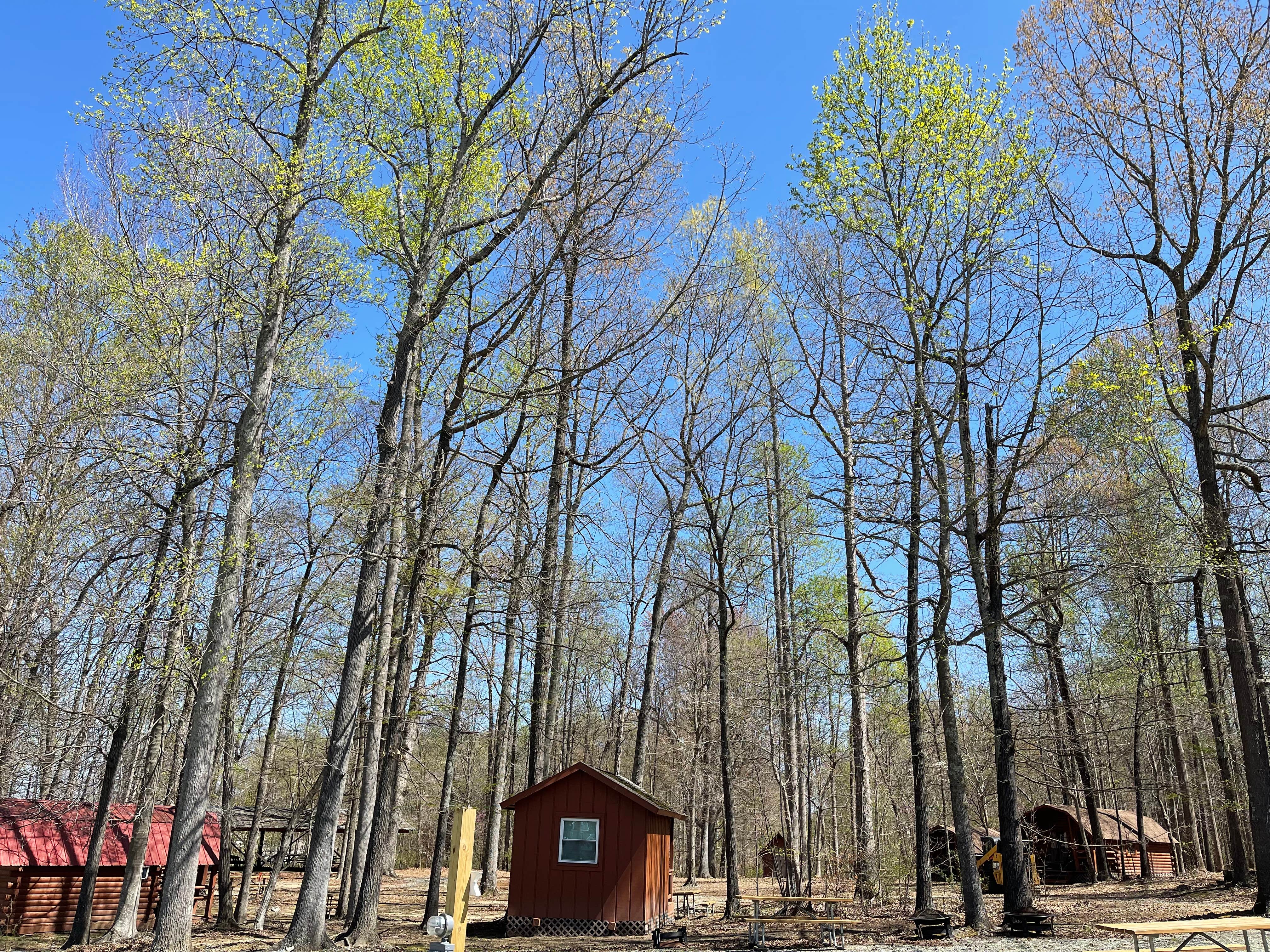kelly N.'s photo of a cabin at Greensboro KOA near Franklinville, NC