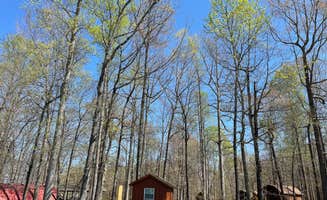 kelly N.'s photo of glamping accommodations at Greensboro KOA in North Carolina
