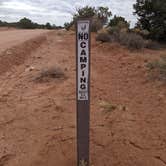 Review photo of BLM Mineral Bottom Road Dispersed Camping by Greg L., April 3, 2022