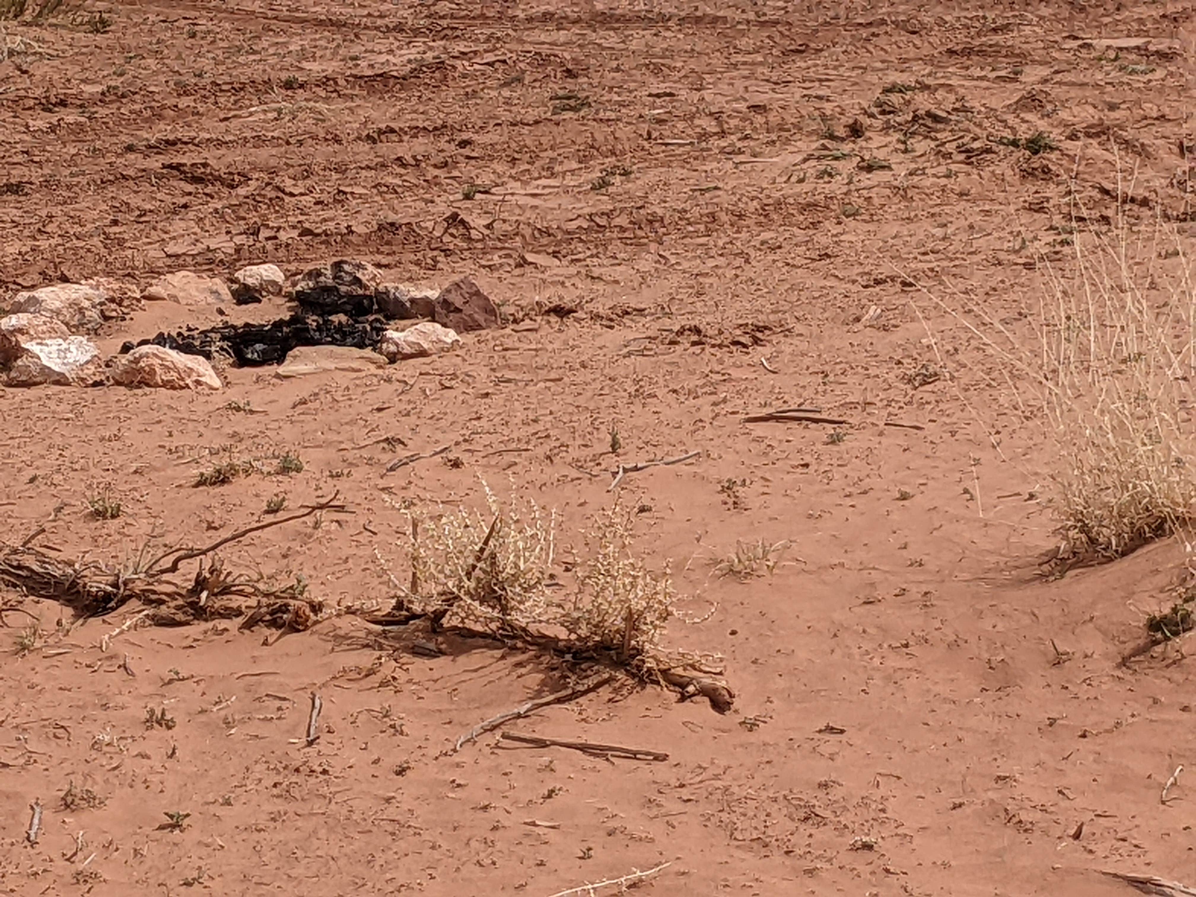 Camper-submitted photo at BLM Mineral Bottom Road Dispersed Camping near Canyonlands National Park