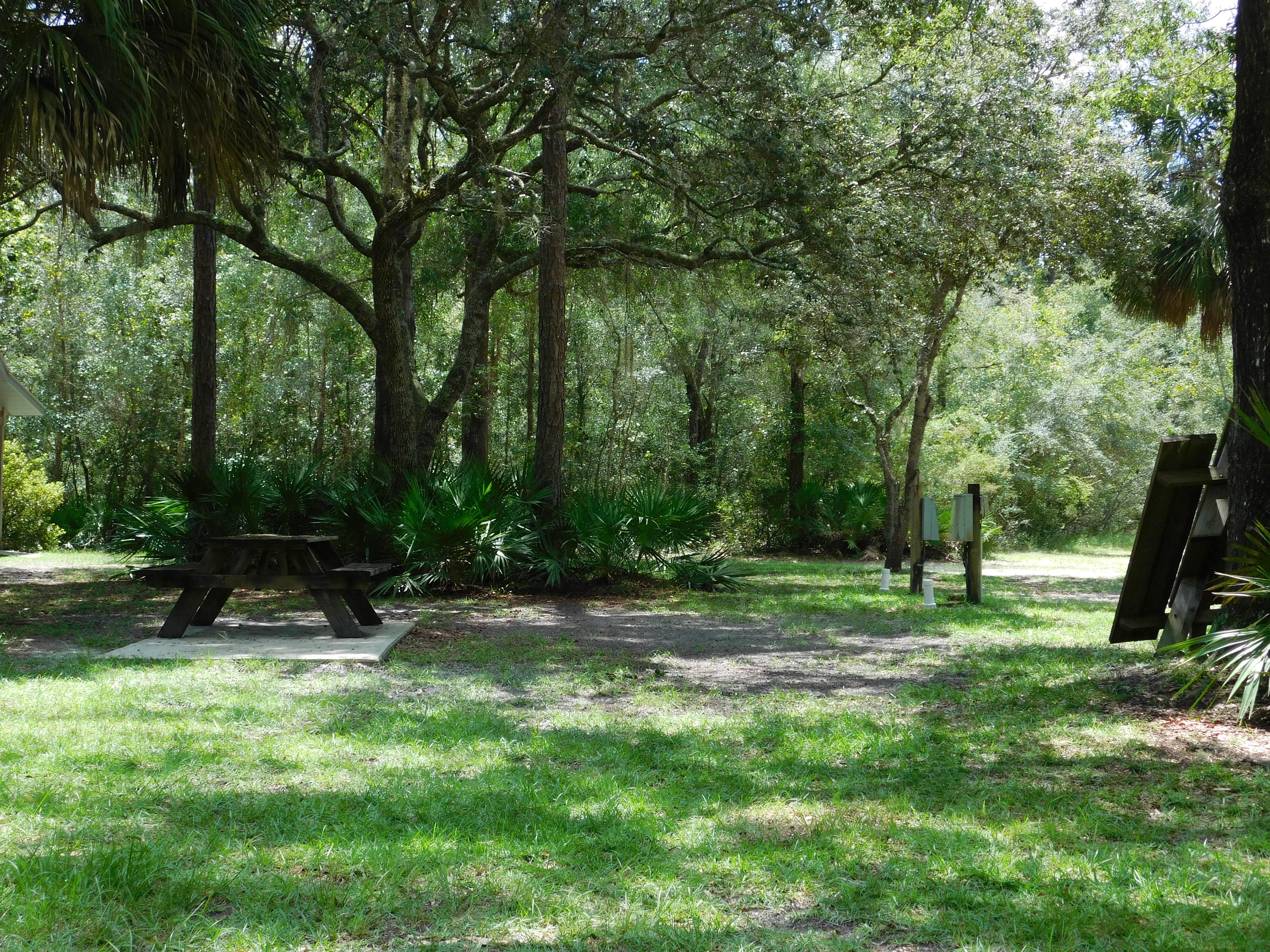 Camper submitted image from Suwannee River Hideaway Campground - 3