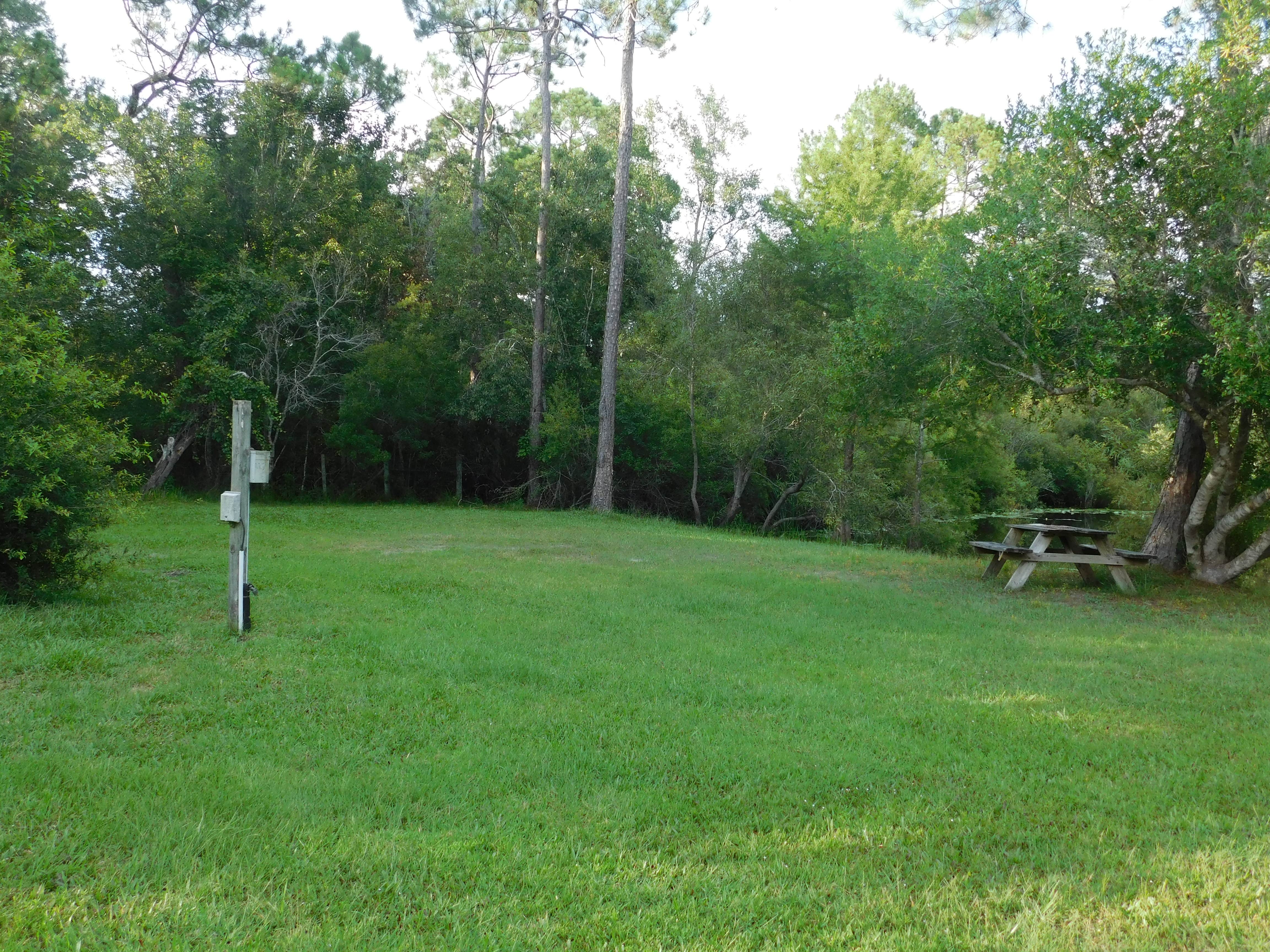 Camper-submitted photo at Suwannee River Hideaway Campground near Trenton, FL