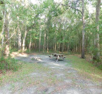 Camper-submitted photo from Suwannee River Hideaway Campground