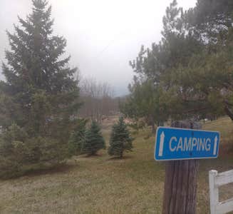 Camper-submitted photo from Cedar River Campground