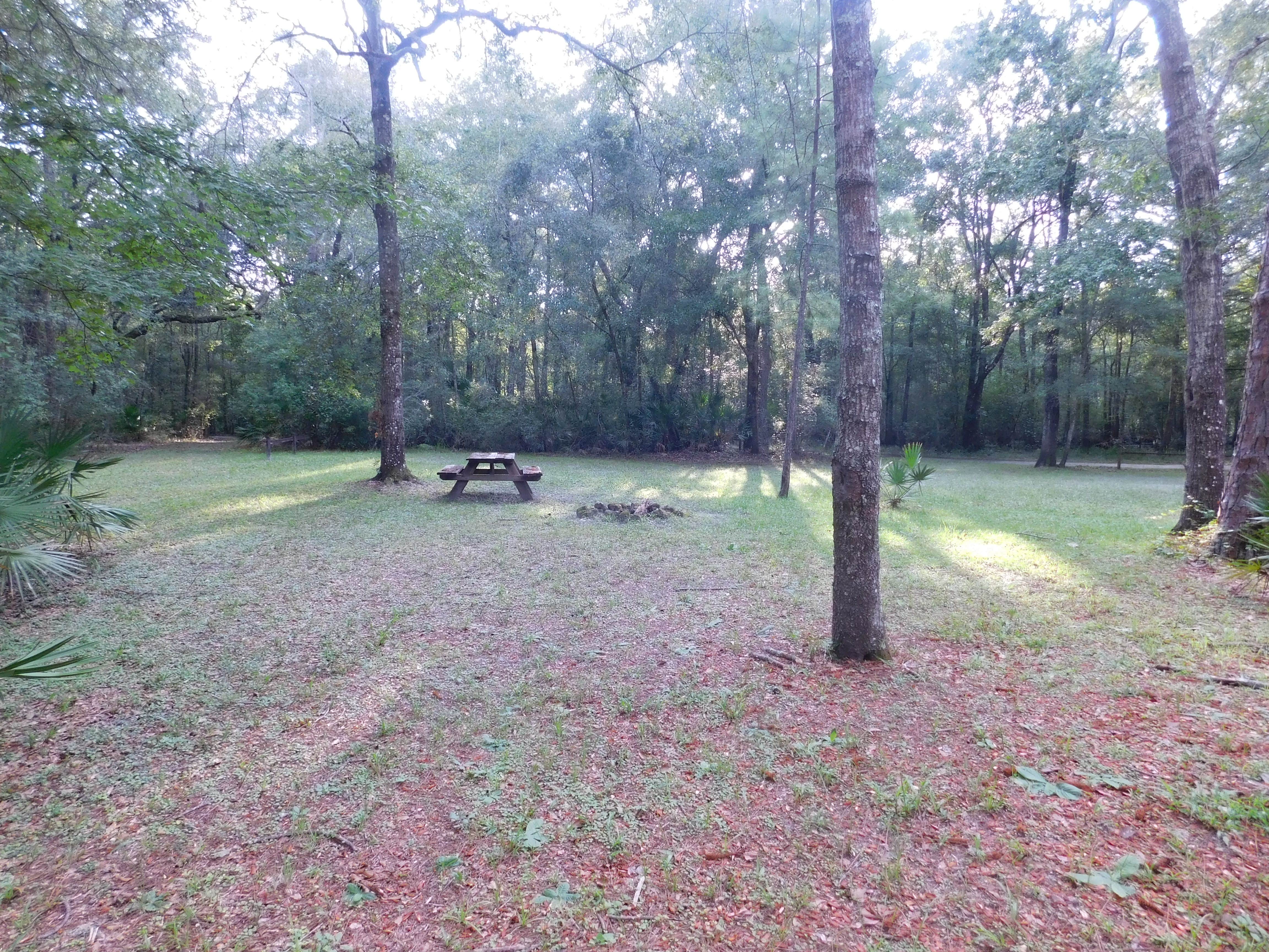 Camper-submitted photo at Suwannee River Hideaway Campground near Trenton, FL