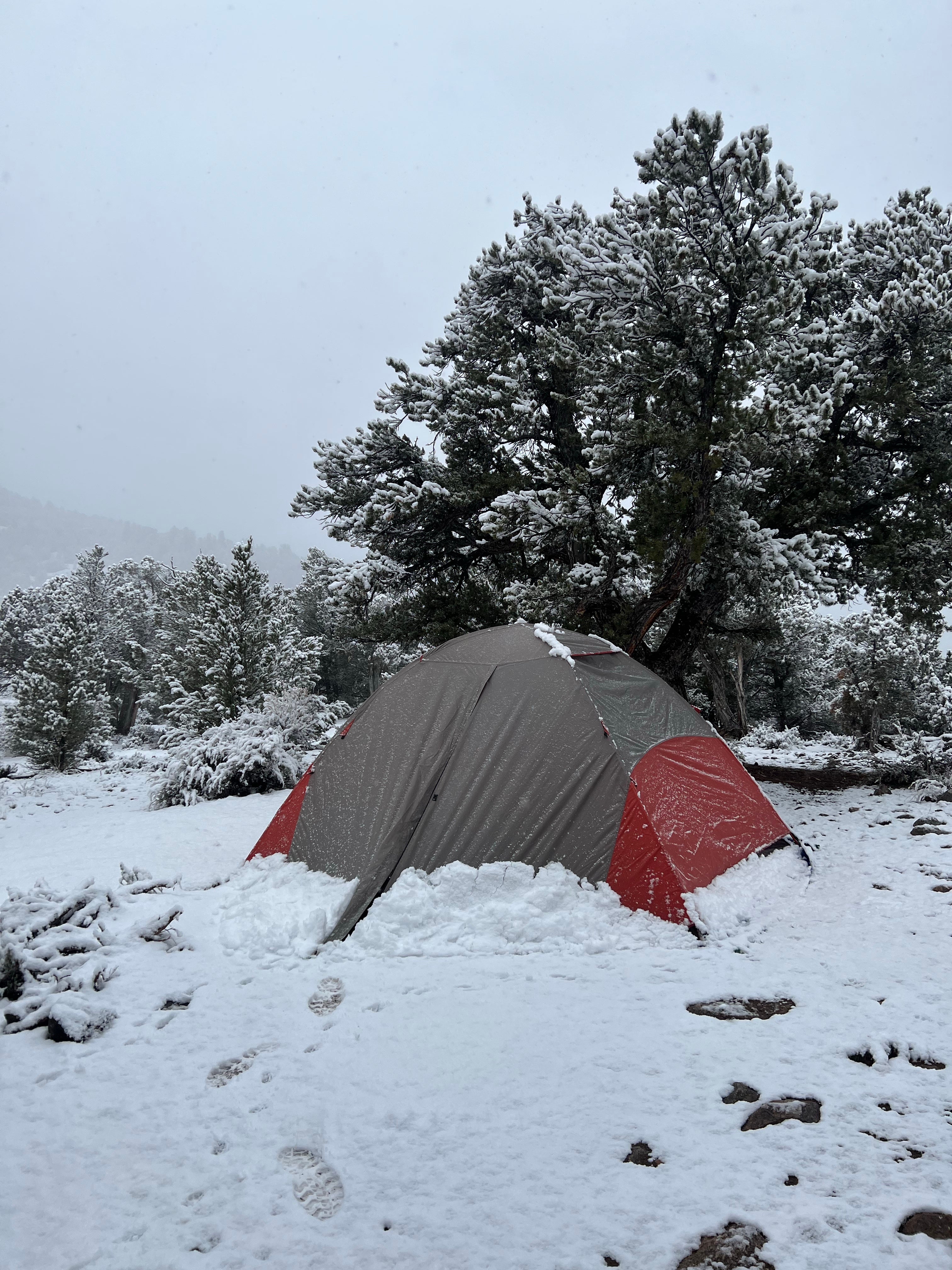 Camper submitted image from BLM Cottonwood Campground - 5