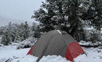 Jinho T.'s photo at BLM Cottonwood Campground near Bond, CO