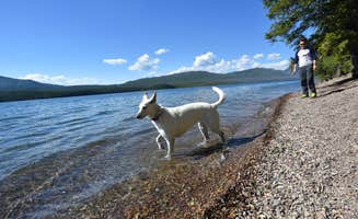Krissy P.'s photo of camping with pets at Apgar Campground — Glacier National Park near Glacier National Park