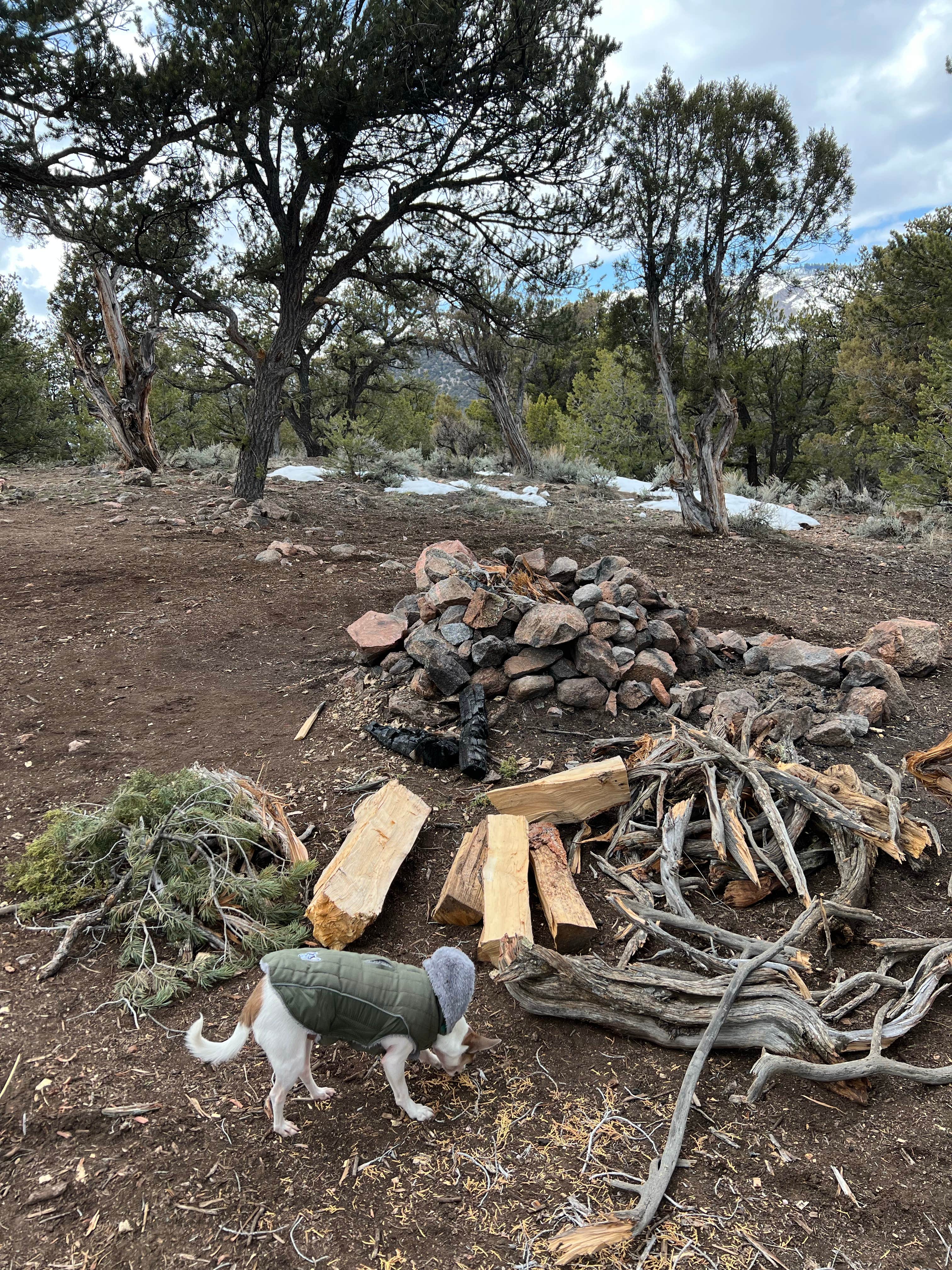 Camper-submitted photo at BLM Cottonwood Campground near Bond, CO