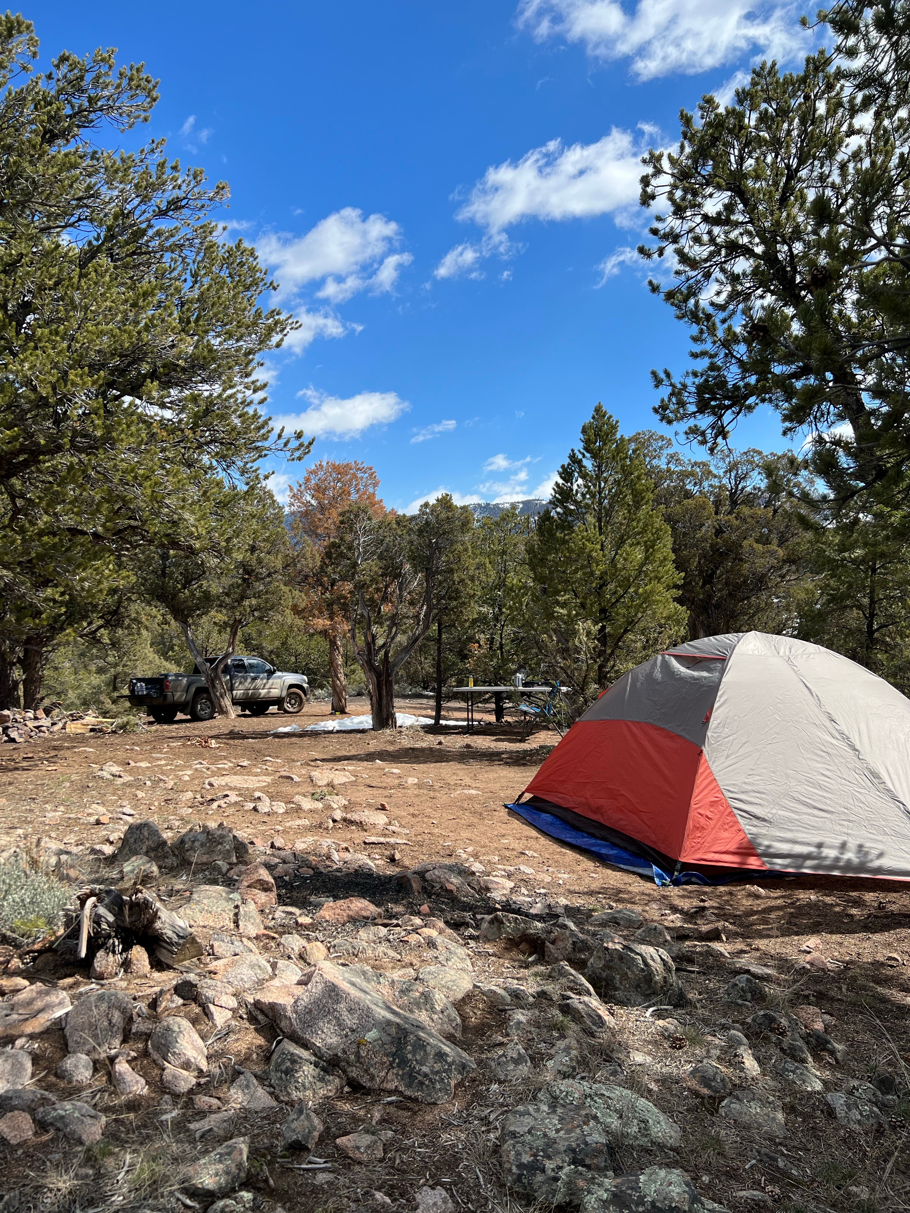 Camper submitted image from BLM Cottonwood Campground - 4