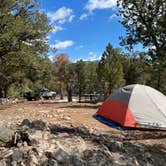 Review photo of BLM Cottonwood Campground by Jinho T., April 3, 2022