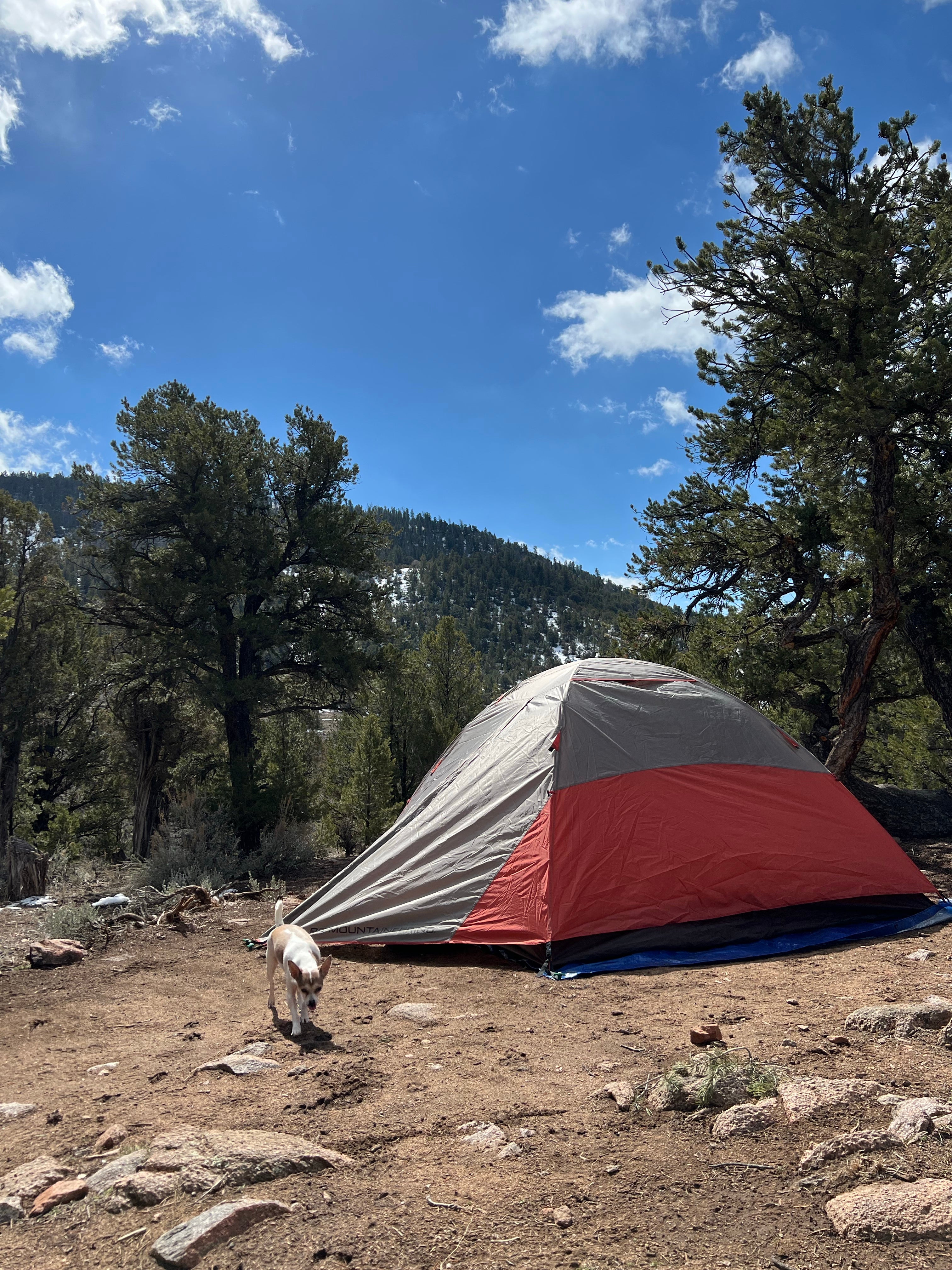 Camper submitted image from BLM Cottonwood Campground - 1