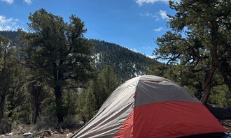 Camping near Windy Point Site: BLM Cottonwood Campground, Bond, Colorado