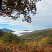 Review photo of Spacious Skies Bear Den by Ashley W., April 3, 2022