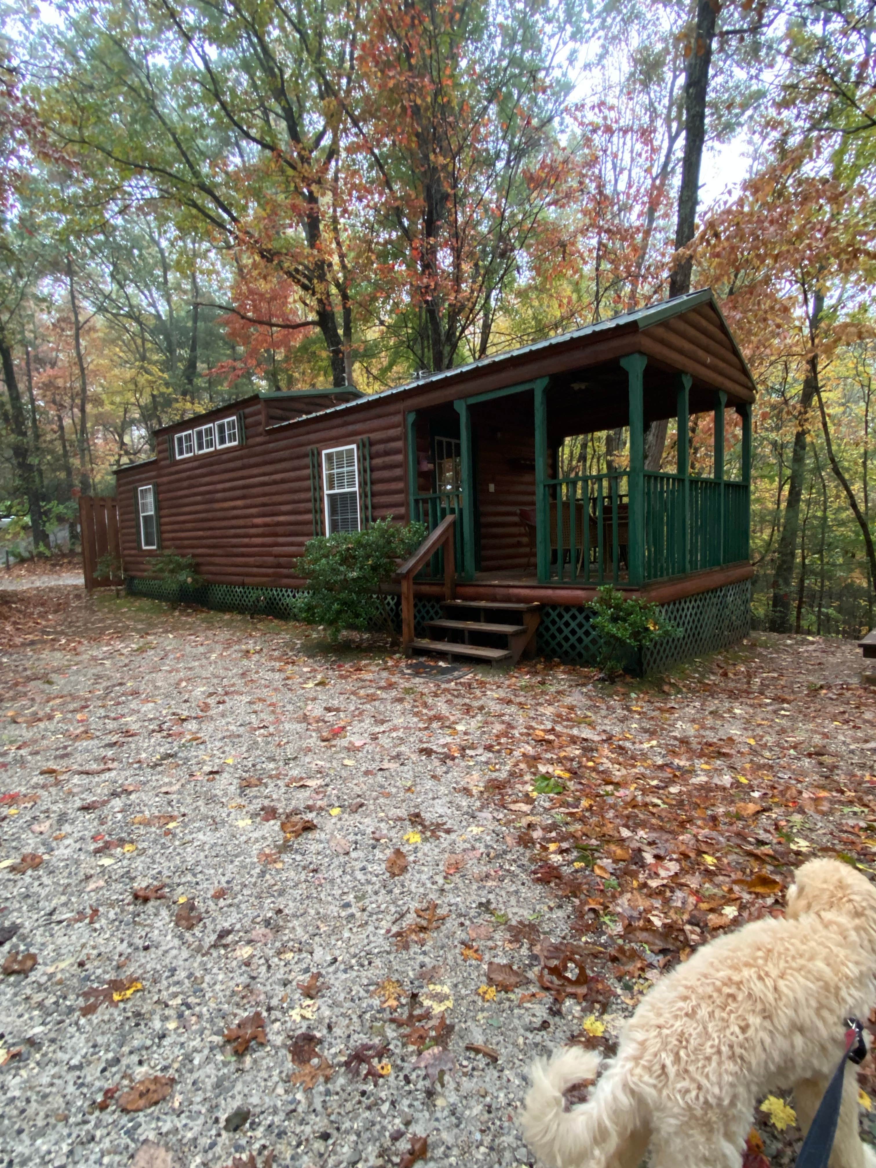 Ashley W.'s photo of glamping accommodations at Spacious Skies Bear Den near Collettsville, NC