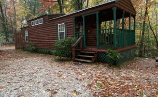 Ashley W.'s photo of a cabin at Spacious Skies Bear Den near Green Mountain, NC