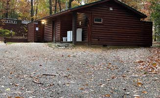 Ashley W.'s photo of a cabin at Spacious Skies Bear Den near Newland, NC