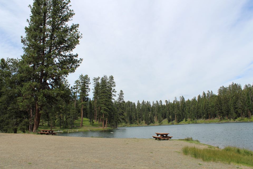 Camper submitted image from Magone Lake Campground - 2