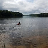 Review photo of Chester State Park Campground by Ashley W., April 3, 2022
