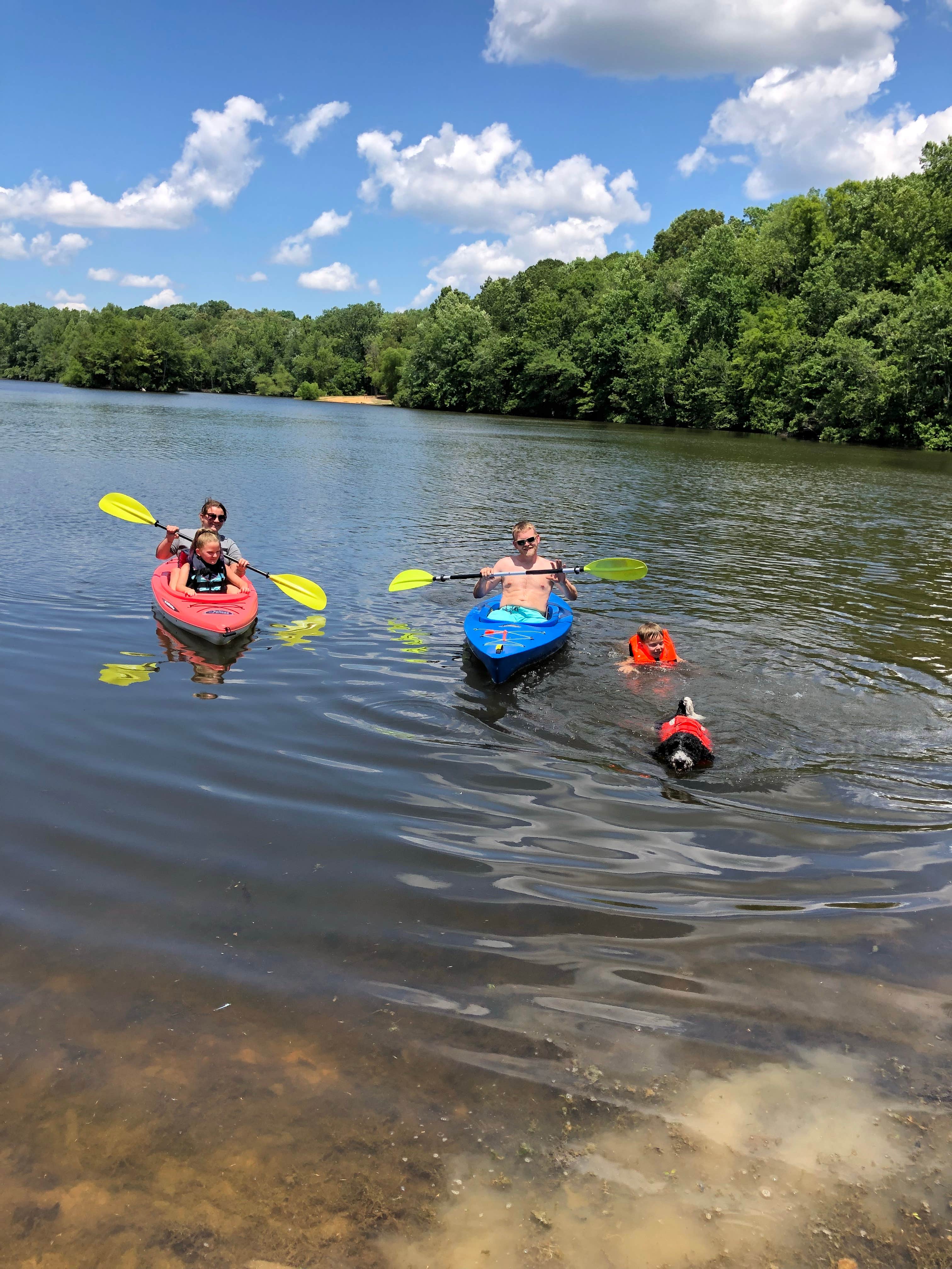 are dogs allowed at andrew jackson state park