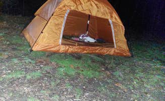 Trisha W.'s photo at Berryman Trail & Campgrounds - Mark Twain National Forest near Sullivan, MO