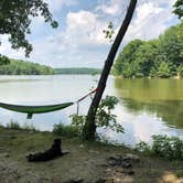 Review photo of East Fork State Park Campground by Joe G., July 11, 2018