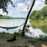 Review photo of East Fork State Park by Joe G., July 11, 2018