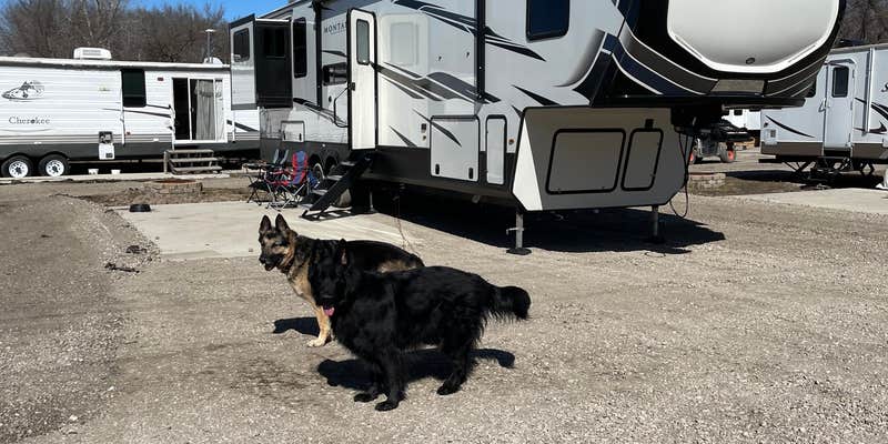 Camper submitted image from Camp At The Woods