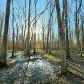 Review photo of Old Stone Fort State Archaeological Park by Bill G., April 4, 2022